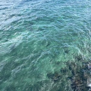 Meet your Posher, Kat